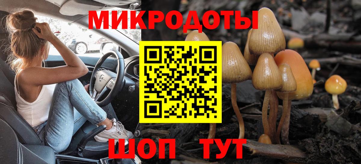 Галлюциногенные грибы Cubensis  Берёзовский 